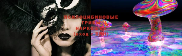 шишки Абдулино