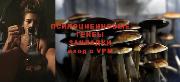 a pvp Абаза