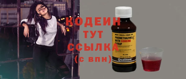 a pvp Абаза
