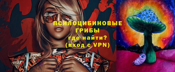 a pvp Абаза