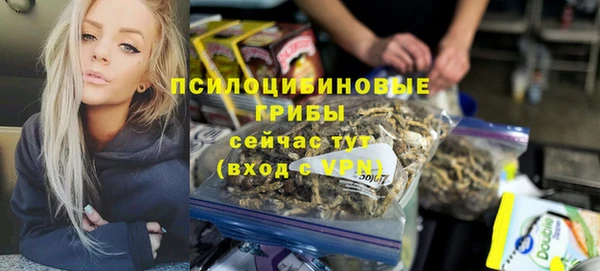 a pvp Абаза