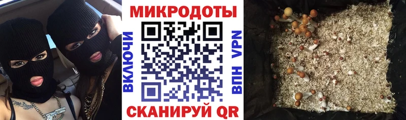 мега   Кашира  Галлюциногенные грибы Magic Shrooms 