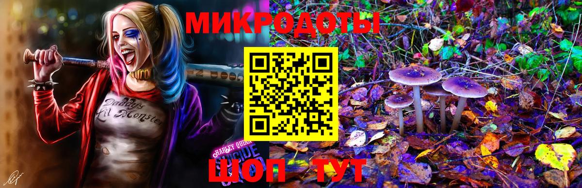 Псилоцибиновые грибы прущие грибы  Псилоцибиновые грибы Psilocybe  Вход с VPN  где найти   Кашира 